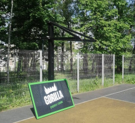 замену баскетбольного кольца и щита в парке Соловьиная роща - фото - 1